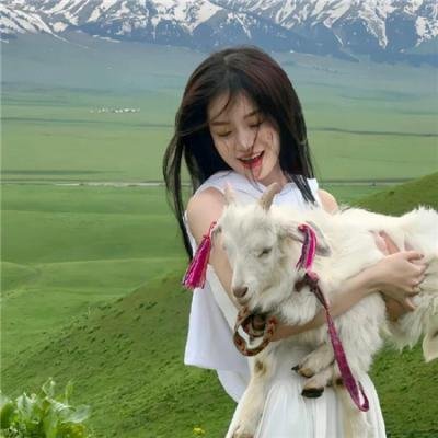 龙之心3：巫师的诅咒