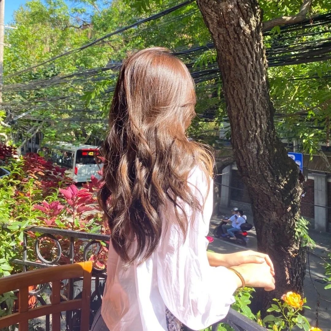 白色酢浆草